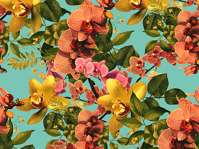 Pattern Orchids art direction asthetic collage collage art design graphic design pattern pattern design