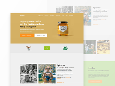 Medukis apiary website design clean minimal responsive web design user persona user research web design web ui web ux