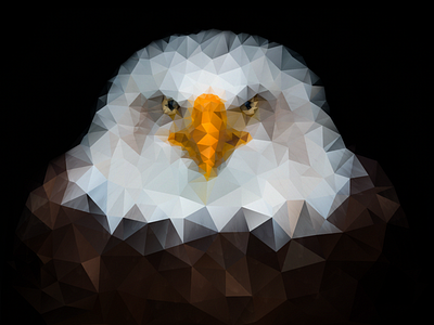 Eagle design digital eagle illustrator low poly photoshop