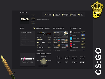 Counter Strike Account interface