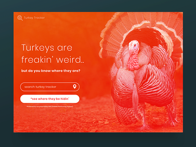 turkey tracker dark design form form design form field location tracker search turkey ui website concept website design