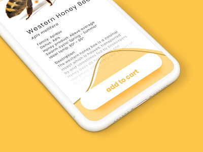 Something Bee-utiful app application bee close up dailyui016 detail honey honeycomb ios iphonex mobile shopping app ui