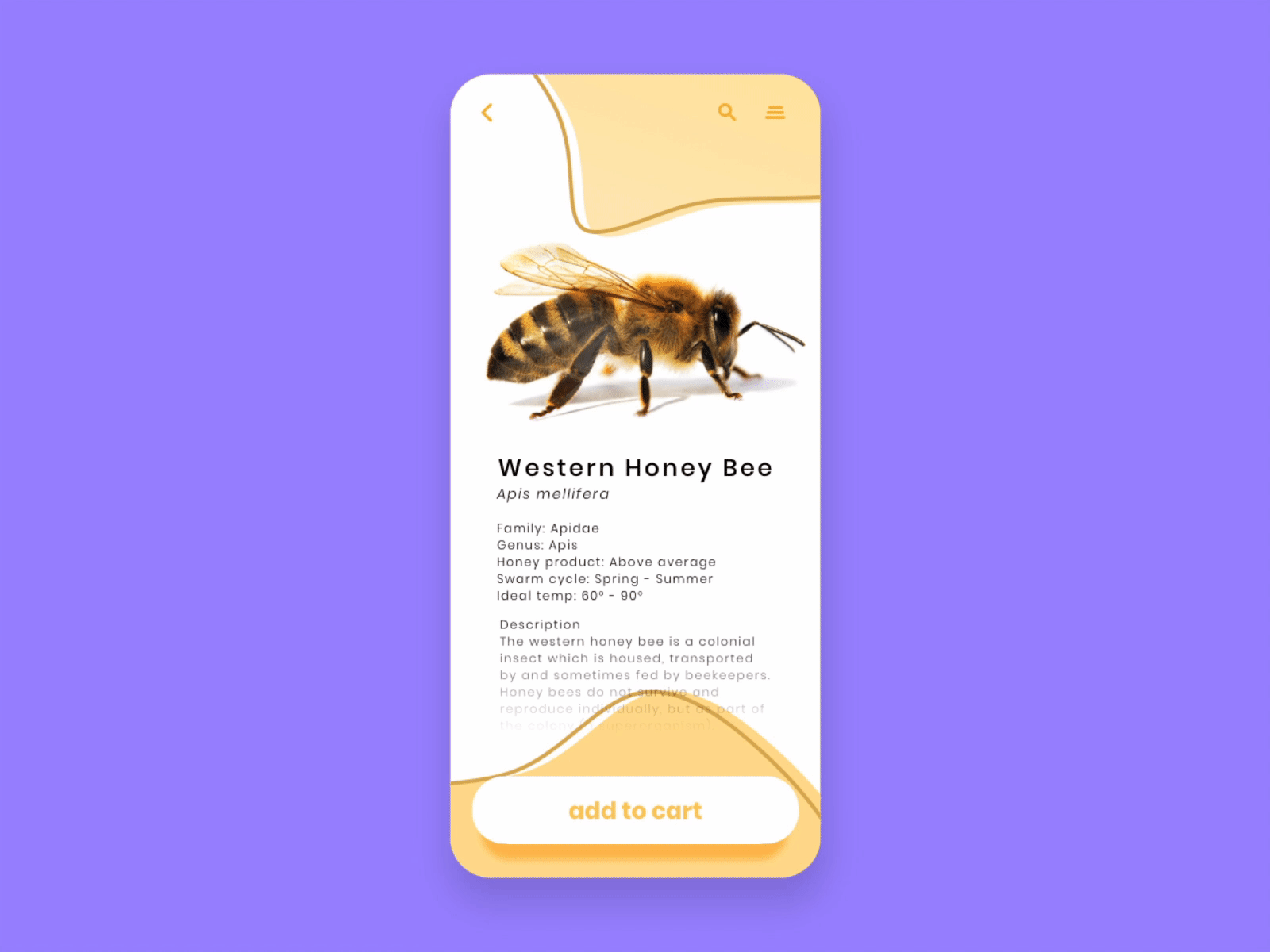 It's Bee-autiful! application bee dailyui016 design ecommerce honey mobile modern design shopping shopping cart ui