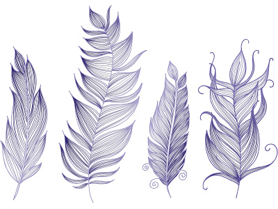 Feathers design feather illustration ink lines vector violet