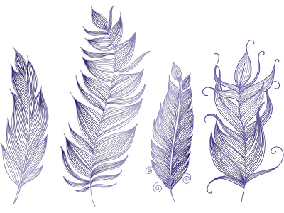 Feathers