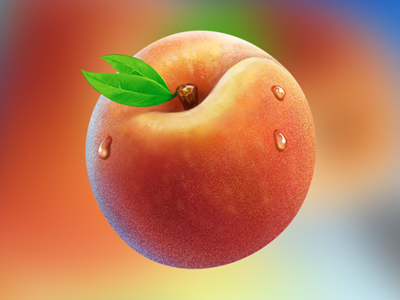 Peach illustration food fruit illustration peach photoshop