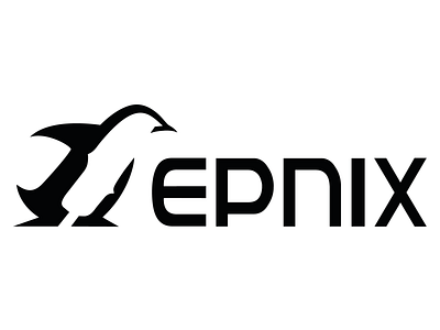 Epnix branding design exam illustration it it services job application logo vector