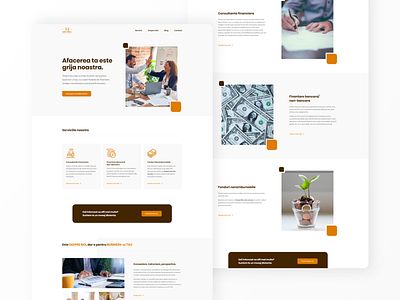 Financial Website Design