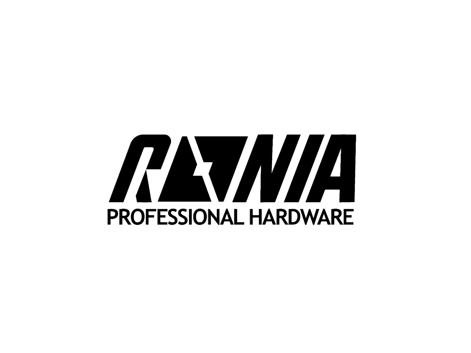 Logo animation for Roina