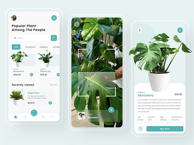 🌿 Plant Identifier App