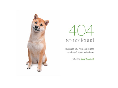Doge 404 404 doge