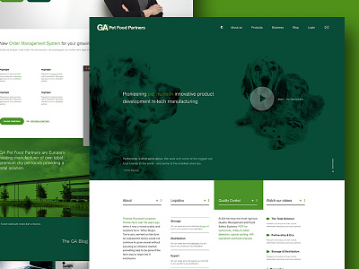 Pet Foods Concept clean dog green