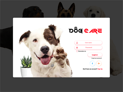 Dog Care web site Login (Light theme) care design dog light theme unique web xd