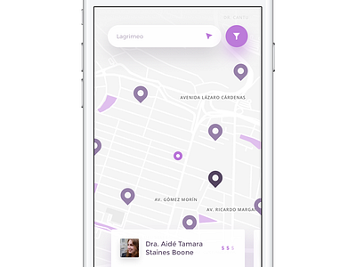 1012312017 card doctor filter interactive map minimal purple search ui