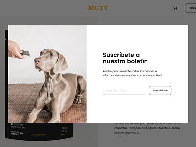 Newsletter dog ecommerce food modal mutt newsletter pet shopify simple subscription web website white