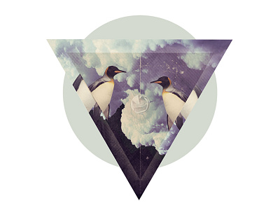Penguins collage manipulation penguin photo sky triangle
