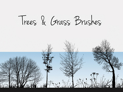 19 Nature Silhouettes Trees & Grass Brushes brushes nature photoshop plants ps tree