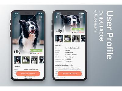 DailyUI#006 "user profile" 006 animal shelter app dailyuichallenge deailyui deilyui006 desginer design sketch ui user profile