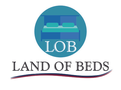 Logo for Clint Land of Beds logo vector