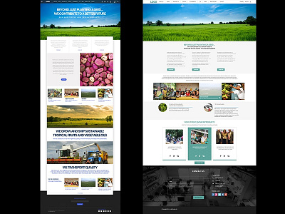 WebSite Design for Ijmfarmproducts design photoshop ui website design