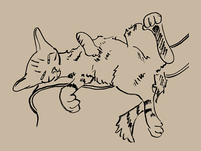 Zelda brush and ink cat illustration