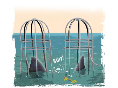 Shark-Proof Cages? digital editorial illustration obx sharks