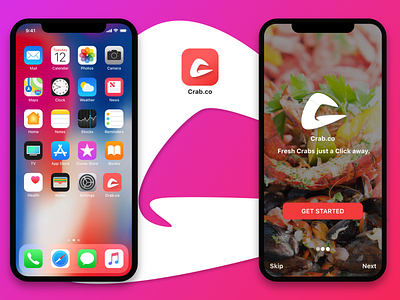 App Icon + Welcome Screen (Crab.co) adobe xd app branding concept dailyui design icon illustration logo ui ux