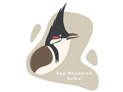 Bird Series - 2 - Red Whiskered Bulbul adobe art bird bird icon bird illustration design icon illustration mascot