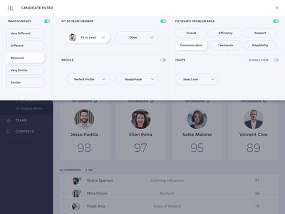 HR Dashboard - candidate profile filter