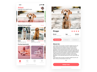 Dog Adopt Apps