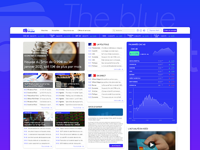 Webdesign The Blue Wallet branding design finance homepage investment ui uidesign web webdesign