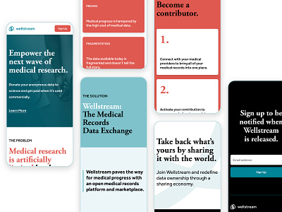 Marketing site for Wellstream branding landing page web design