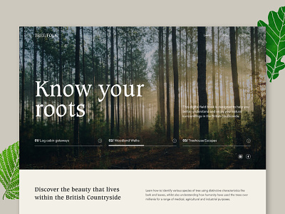 Know your roots caxton forest getaways holiday homepage illustration landingpage leaf sailec treehouses walks website concept woodlands