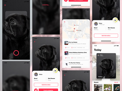 DogGo (Dog Care On The Go!) app dog ui ux veterinarian