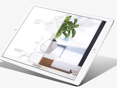 Compare Page app drawing interaction interface ipad procerate ui