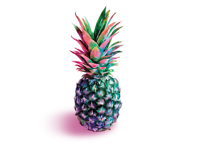 Pink Pineapple illustration vector