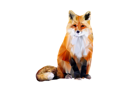 Fox illustration vector