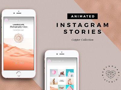 ANIMATED Copper Instagram Stories animated blogger collection copper gold instagram media rose social stories template templates