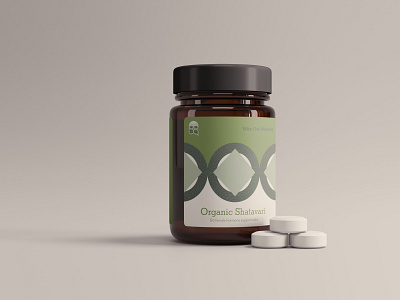 Shatavari Supplement Packaging branding branding concept contemporary female green health logo packaging supplements wellness
