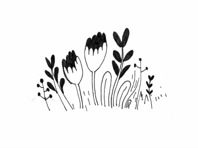 Animated Sketchbook: Flora animation flowers illustration nature plants