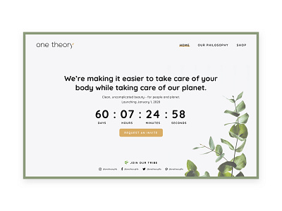 Countdown timer homepage