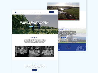 Homepage concept clean concept design homepage images minimal overview proposal