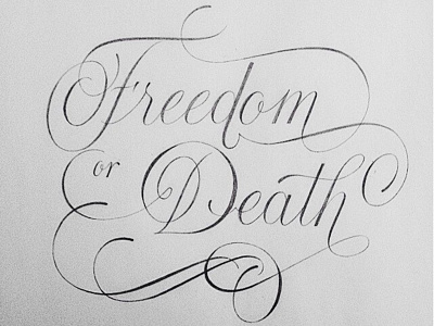 freedom or death calligraphy illustration lettering type typography