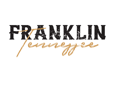 Franklin-TN design illustration snapchat snapchat filter