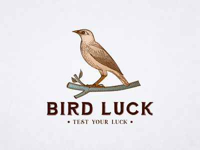 Bird Luck Logo Design bird brand guide brand guideline brand identity branding design hand drawn logo illustration logo logo design luck vintage vintage logo