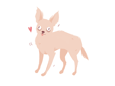 Chihuahua character chihuahua cute design digital illustration dog illustration puppy white