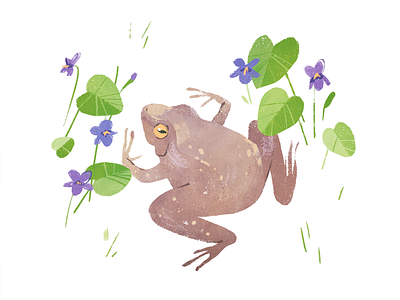 A toad animal drawing design digital illustration flowers frog illustration spring toad violet white