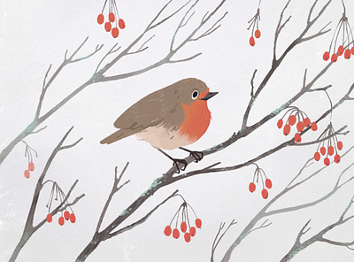 Winter robin animal drawing bird character children book children book illustration cute design digital illustration illustration