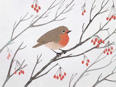 Winter robin