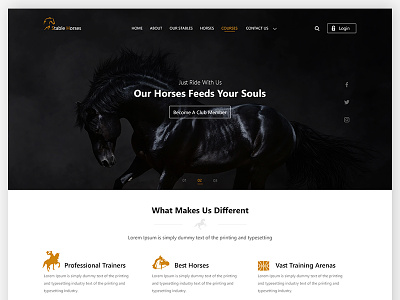 Stable Horses Website horses photoshop stable uiux webdesign